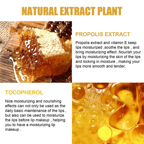 EELHOE Honey Lip Mask Moisturizing Repair Exfoliating